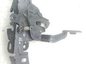 Tie down hook / loop