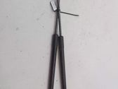Amortiguador de la ventana trasera