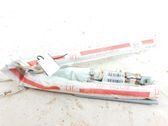 Roof airbag