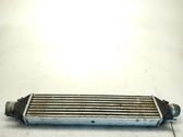 Radiador intercooler