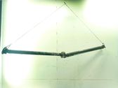 Drive shaft (set)
