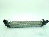 Radiador intercooler
