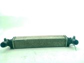 Intercooler radiator