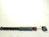 Rear shock absorber/damper