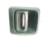 Manecilla interna puerta trasera