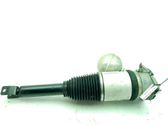 Rear shock absorber/damper