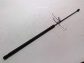 Front bonnet/hood damper/strut