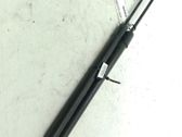 Rear window strut damper