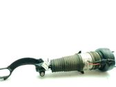 Front shock absorber/damper