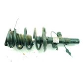 Front shock absorber/damper
