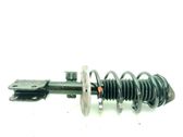Front shock absorber/damper