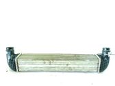 Intercooler radiator