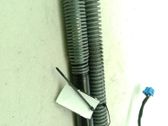 Tailgate/trunk strut/damper