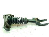 Front shock absorber/damper