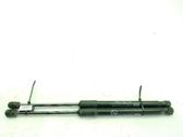 Front bonnet/hood damper/strut
