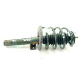 Front shock absorber/damper