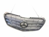 Atrapa chłodnicy / Grill