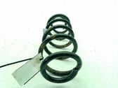 Muelle espiral trasero
