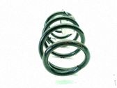 Muelle espiral trasero