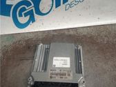 Engine control unit/module ECU
