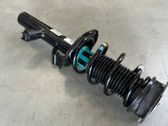 Front shock absorber with coil spring