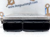 Engine control unit/module