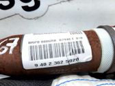 Roof airbag