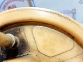Bomba interna de combustible