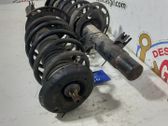 Front shock absorber/damper