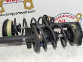 Front shock absorber/damper