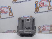 Engine control unit/module
