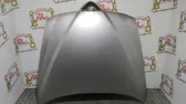 Engine bonnet/hood