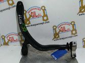 Front lower control arm/wishbone