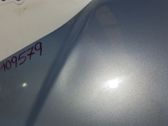 Capó/tapa del motor