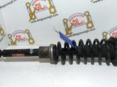 Front shock absorber/damper