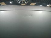 Motorhaube