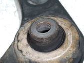 Front lower control arm/wishbone