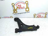 Front lower control arm/wishbone