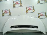 Motorhaube