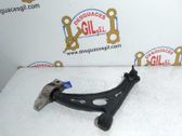Front lower control arm/wishbone