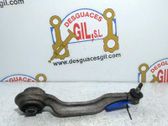 Front lower control arm/wishbone