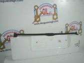 Tailgate/trunk/boot lid