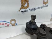 Brazo de suspensión/horquilla inferior delantero