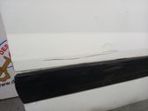 Puerta delantera