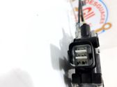 Fensterheber elektrisch mit Motor Tür vorne