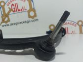 Front lower control arm/wishbone