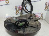 Rear wheel hub spindle/knuckle