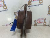 Rear brake disc