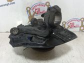 Front wheel hub spindle knuckle