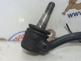 Front lower control arm/wishbone